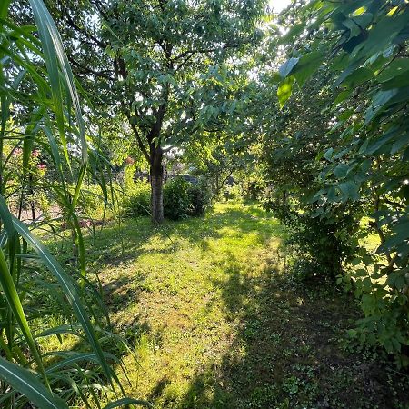 Apartament Wojska Polskiego 35 Villa Wadowice Dış mekan fotoğraf