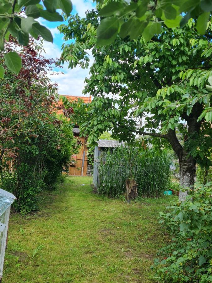 Apartament Wojska Polskiego 35 Villa Wadowice Dış mekan fotoğraf